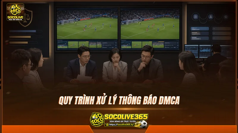 Quy trình xử lý thông báo DMCA của Socolive TV