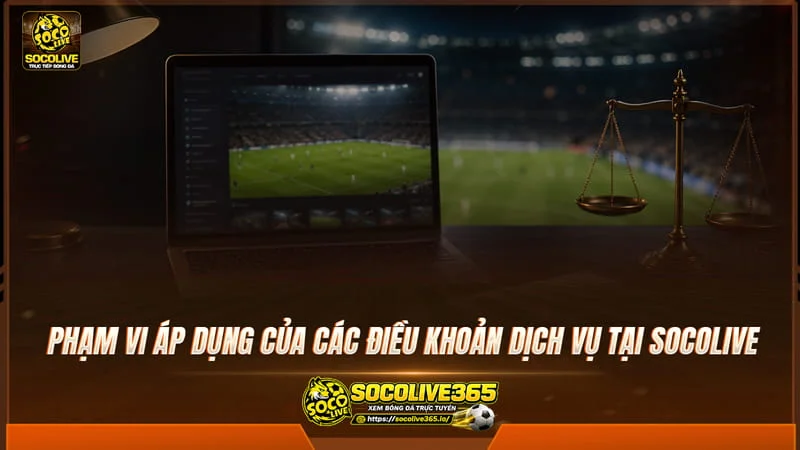 Phạm vi áp dụng của các điều khoản dịch vụ tại Socolive