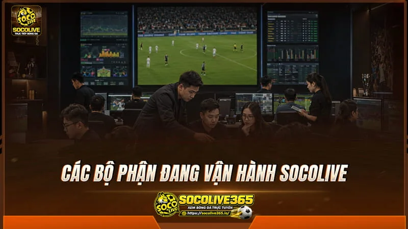 Các bộ phận đang vận hành Socolive