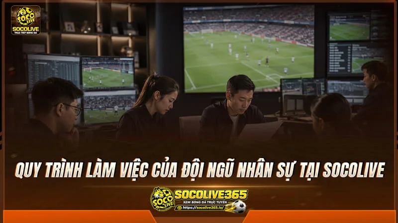 Quy trình làm việc của đội ngũ nhân sự tại Socolivetv
