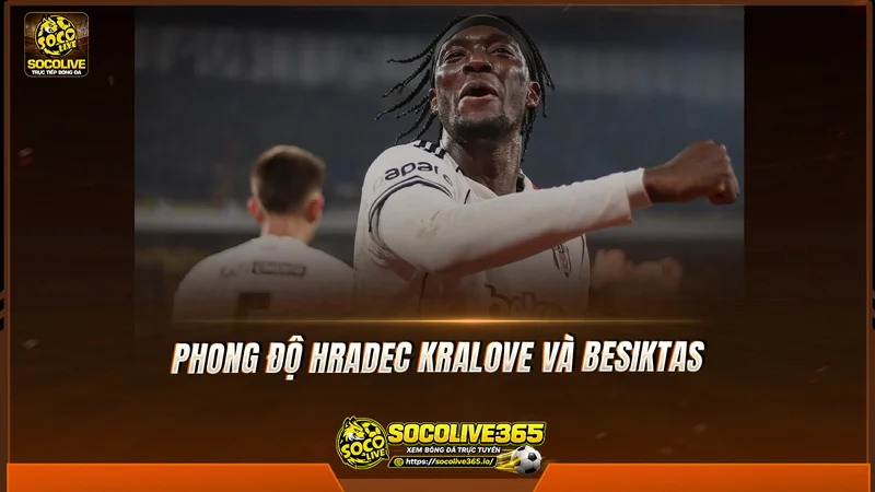 Phong độ Hradec Kralove và Besiktas được Socolive TV tổng hợp