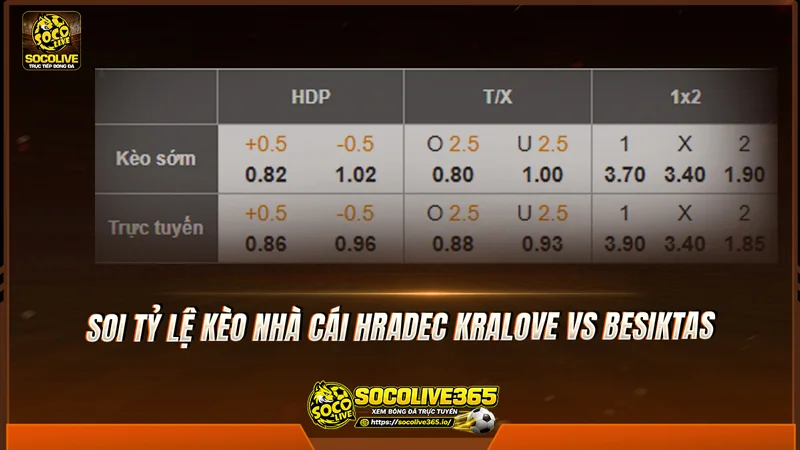 Soi tỷ lệ kèo nhà cái Hradec Kralove vs Besiktas cùng các chuyên gia Socolive